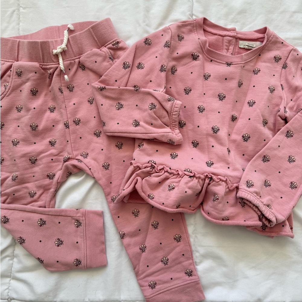 Peek Kids girls sweatpants and sweatshirt set!